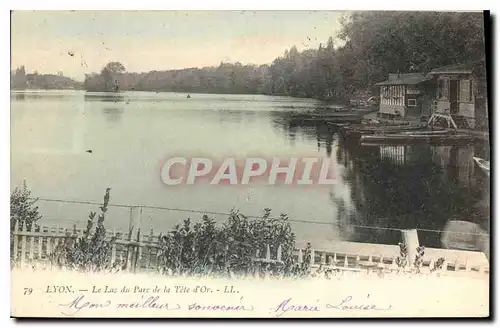 Ansichtskarte AK Lyon Le Lac du Parc de la Tete d'Or