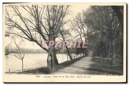 Ansichtskarte AK Lyon Parc de la Tete d'Or Bords du Lac