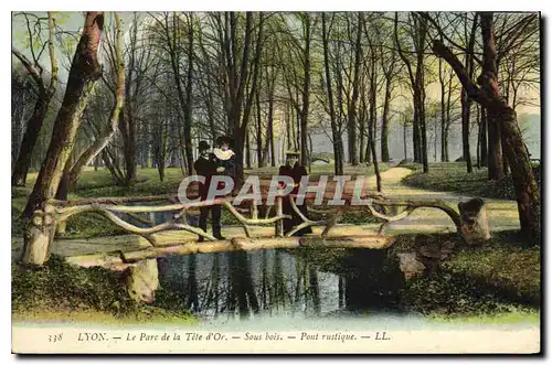 Ansichtskarte AK Lyon Le Parc de la Tete d'Or Sous Bois Pont Rustigue