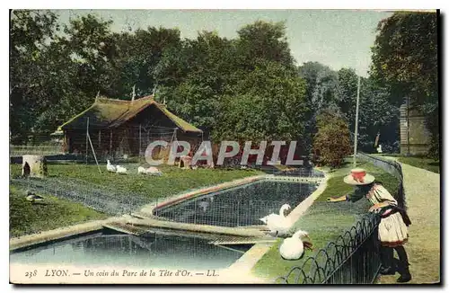 Cartes postales Lyon Un Coin du Parc de la Tete d'Or Enfant