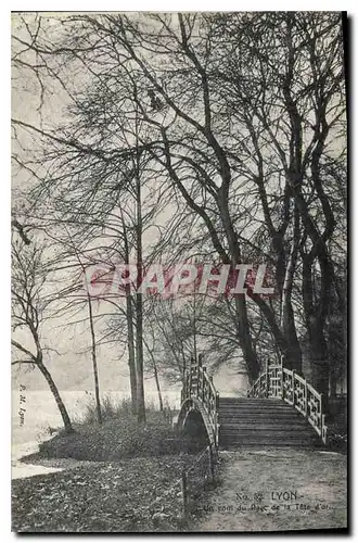 Cartes postales Lyon Un Coin du Parc de la Tete d'Or