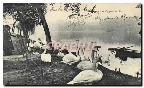 Ansichtskarte AK Lyon Les Cygnes au Parc