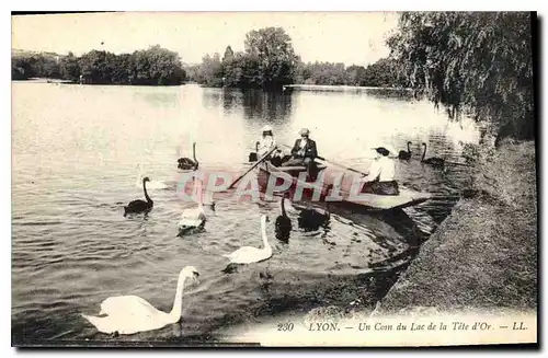 Ansichtskarte AK Lyon Un Coin du Lac de la Tete d'Or