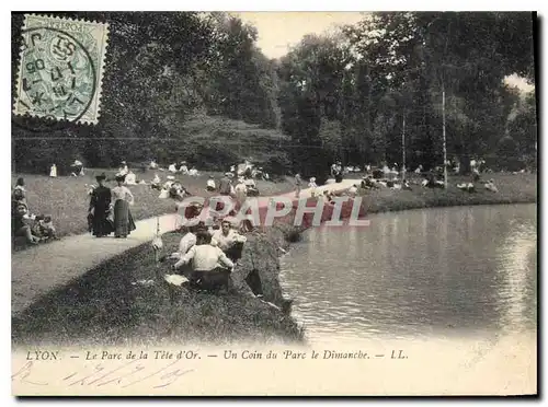 Ansichtskarte AK Lyon Le Parc de la Tete d'Or Un Coin du Parc le Dimanche