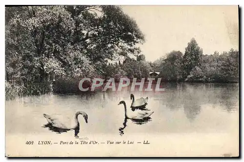 Ansichtskarte AK Lyon Parc de la Tete d'Or Vue sur le Lac