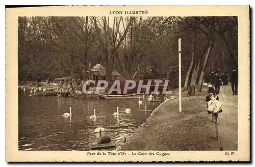 Ansichtskarte AK Lyon Parc de la Tete d'Or Le Coin des Cygnes