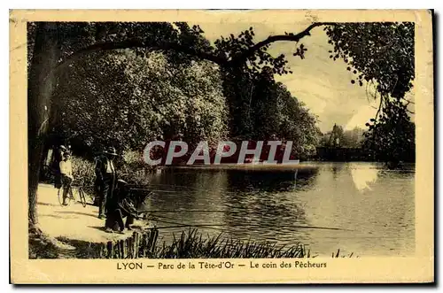 Cartes postales Lyon Parc de la Tete d'Or Le Coin des Pecheurs Peche Pecheur