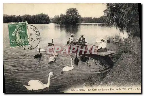 Ansichtskarte AK Lyon Un Coin du Lac au Parc de la Tete d'Or