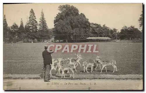 Cartes postales Lyon Le Parc aux Daims