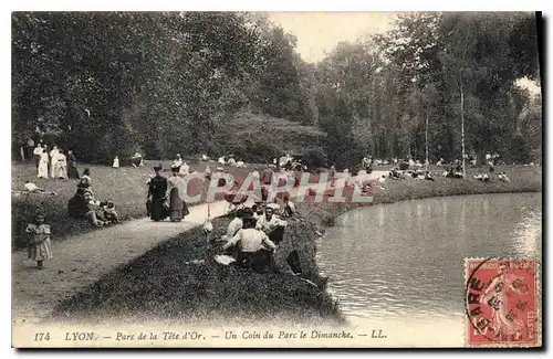 Cartes postales Lyon Parc de la Tete d'Or Un Coin du Parc le Dimanche