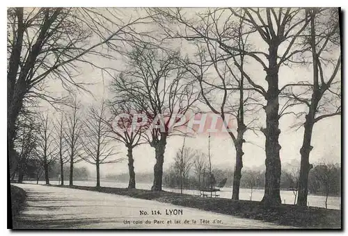 Cartes postales Lyon Un Coin du Parc de la Tete d'Or