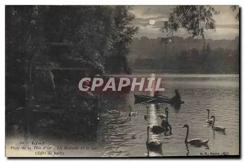 Ansichtskarte AK Lyon Parc de la Tete d'Or La Buvette et le Lac Effet de nuit