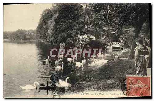 Cartes postales Lyon Le Parc le Bord du Lac et les Cygnes