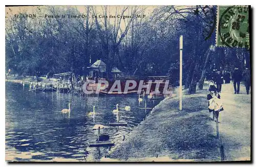 Cartes postales Lyon Parc de la Tete d'Or Le Coin des Cygnes