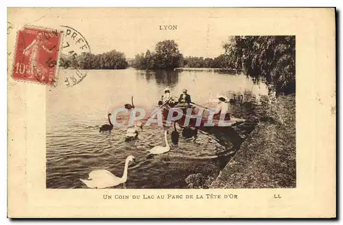 Ansichtskarte AK Lyon Un Coin du Lac au Parc de la Tete d'Or