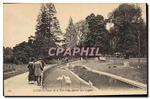 Cartes postales Lyon Parc de la Tete d'Or Enclos aux Cygnes