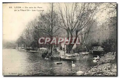 Ansichtskarte AK Lyon Un Coin du Parc de la Tete d'Or Les Cygnes