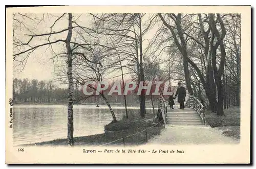 Ansichtskarte AK Lyon Parc de la Tete d'Or Le Pont de Bois