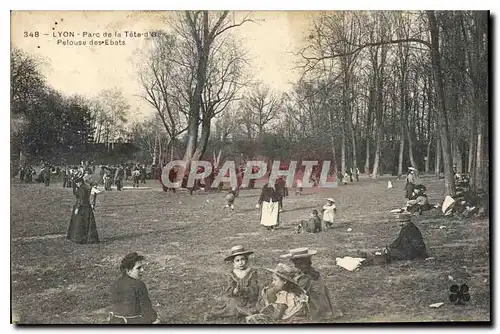 Ansichtskarte AK Lyon Parc de la Tete d'Or Pelouse des Ebats