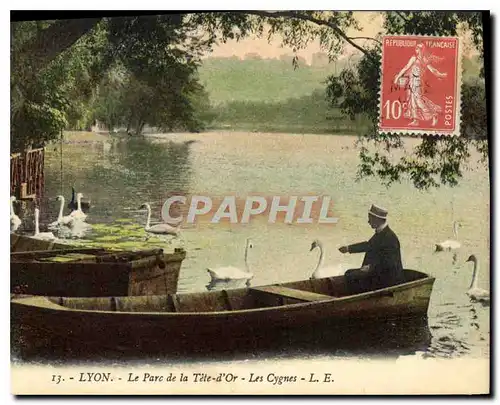 Cartes postales Lyon Le Parc de la Tete d'Or Les Cygnes