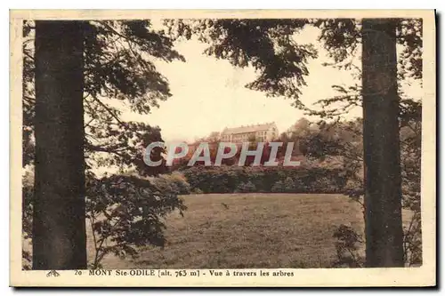 Ansichtskarte AK Mont Ste Odile Vue a travers les arbres