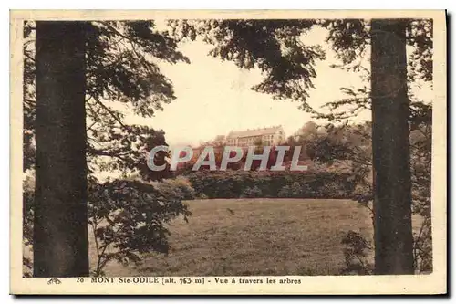 Cartes postales Mont Ste Odile Vue a travers les arbres