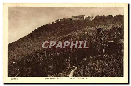 Ansichtskarte AK Mont Sainte Odile Vue du Cote Nord