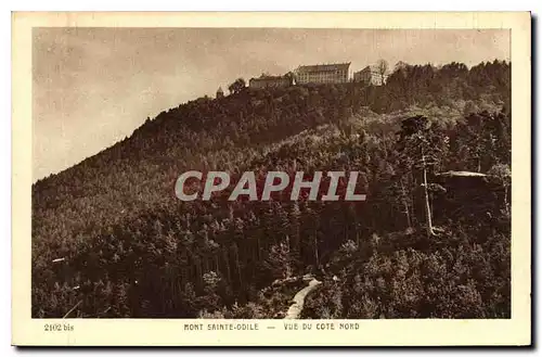 Cartes postales Mont Sainte Odile Vue du Cote Nord