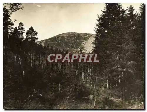 Cartes postales Mont Ste Odile