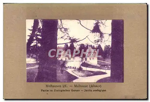 Cartes postales Mulhouse Alsace Jardin zoologique