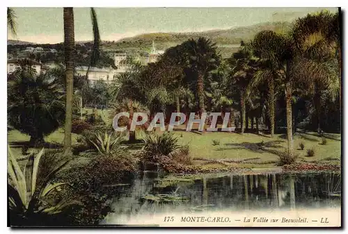 Cartes postales Monte Carlo la Vallee sur Beasoleil