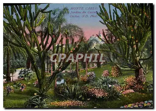 Cartes postales Monte Carlo jardins du Casino Cacti