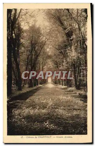 Cartes postales Chateau de Chantilly grande Avenue