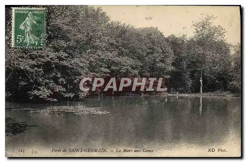 Cartes postales Foret de Saint Germain La Mare aux Canes