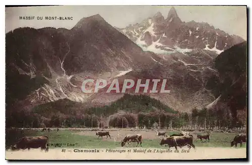Ansichtskarte AK Massif Mont Blanc Chamonix Paturages et Massif de l'Aiguille du Dru