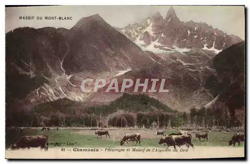 Cartes postales Massif Mont Blanc Chamonix Paturages et Massif de l'Aiguille du Dru