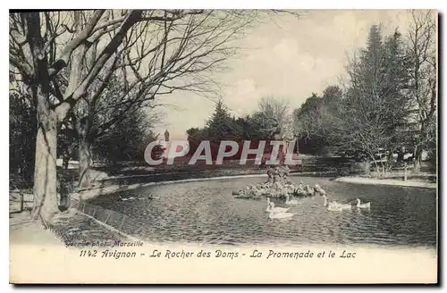 Ansichtskarte AK Avignon Le Rocher des Doms La Promenade et le Lac