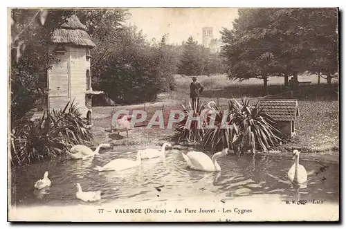 Ansichtskarte AK Valence (Drome) Au parc Jouvet Les Vosges cygnes