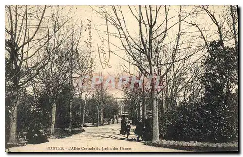 Cartes postales Nimes L'Allee du Jardin des Plantes