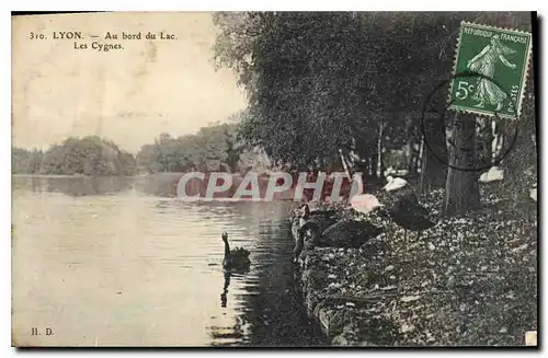 Ansichtskarte AK Lyon Au bord du Lac Les Cygnes