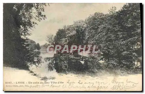 Cartes postales Lyon Un Coin du Lac Tete d'Or
