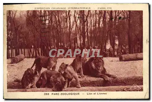 Cartes postales Parc Zoologique Lion et Lionnes Paris Exposition coloniale internationale 1931