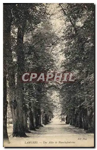 Cartes postales Langres Une Allee de Blanchefontaine