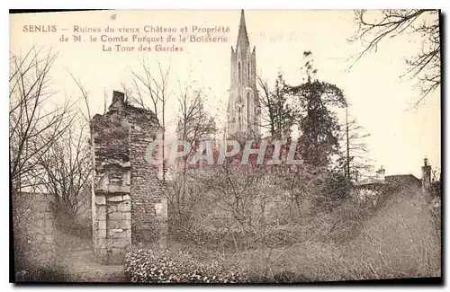 Cartes postales Senlis (Oise) Ruines Du Vieux Chateau et Propriete de M le Comte Furquet de la Boisserie La Toue