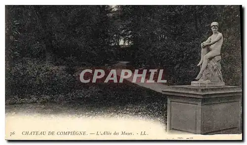 Cartes postales Chateau de Compiegne L'Allee des Muses