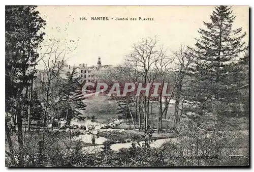 Ansichtskarte AK Nantes Jardin des Plantes