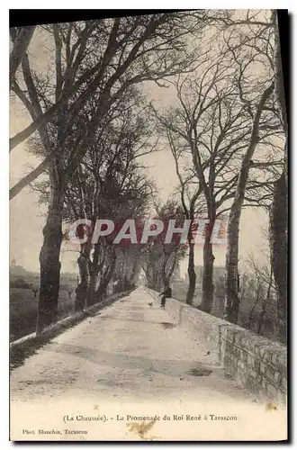 Cartes postales Tarascon (La Chaussee) La Promenade du Roi Rene a Tarascon