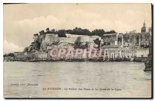 Ansichtskarte AK Avignon (Vaucluse) Le Rocher des Doms et les Quais de la Ligne