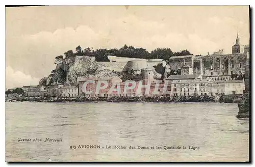 Cartes postales Avignon (Vaucluse) Le Rocher des Doms et les Quais de la Ligne