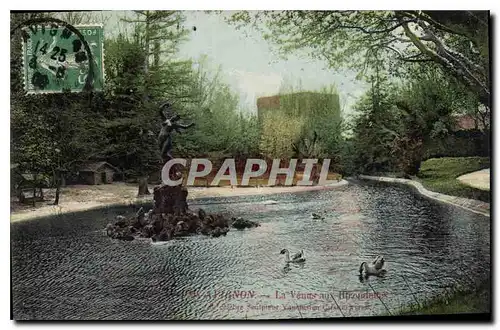 Cartes postales Avignon (Vaucluse) La Venus aux Hirondelles